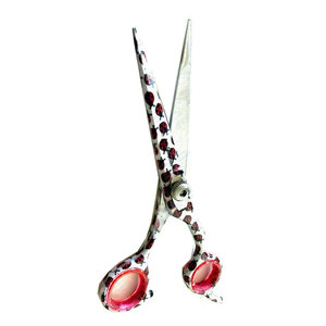 Ciseaux de salon de beauté Lady Bird Design Ciseaux de coiffure professionnels en acier inoxydable de haute qualité - Product Image 1