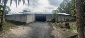 Briquetas de carbón de coco natural de lujo Coco para shisha y hookah, ecológicas, de calidad premium para exportación, de Merades, de Indonesia. - Product Image 6