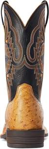Botas de Hombre con Tacón Alto y Diseño Retro, Personalizadas con Logotipo, Estilo Vaquero y Caballero, en Cuero PU - Product Image 2