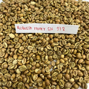 Suministro a granel de granos de café Robusta verde de Vietnam, adaptados para importadores de gran volumen, tostadores de café y distribuidores globales. - Product Image 5