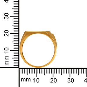 Archline <b>Men's</b> <b>Gold</b> <b>Ring</b> Elegant <b>Gold</b> Tone Sculpted Rectangular Face Textured Signet <b>Ring</b> <b>for</b> <b>Men</b> - Product Image 5