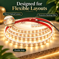 Bande LED flexible 24V DC 2835 pour éclairage mural extérieur IP65, blanc, angle de faisceau 120°, PCB en cuivre pur pour façades intérieures
