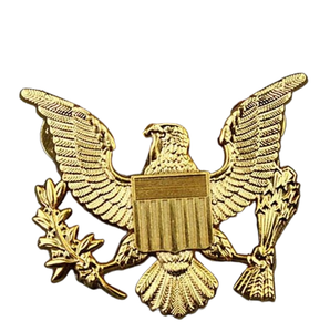 Badge Aigle Métallique Personnalisé avec Drapeau et Bouclier, Moulé sous Pression, à Fixation par Épingle de Sécurité, Forme Irrégulière, Style Classique, pour Promotion et Décoration - Product Image 1
