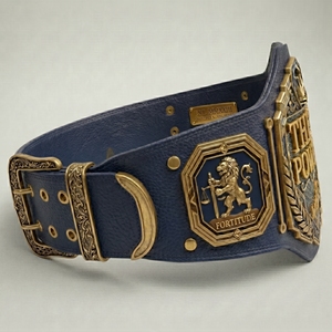 Cinturón de Campeonato de Boxeo de Alta Calidad, Diseño Elegante, Material Duradero, Ideal para Reconocimiento de Logros y Exhibición - Product Image 3