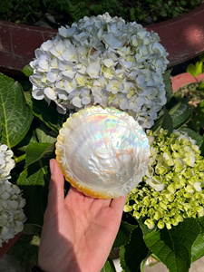 Pearl Of Mother Shell Premium Vietnam Material For Jewelry Components Craft Inlay Decorative Veneer Plate - Black Yellow Shell - Product Image 6