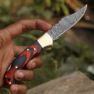 Navaja Plegable Profesional Popular para Exteriores, Hoja de Acero Inoxidable con Mango Personalizado, Soporte OEM, Navajas Plegables - Product Image 2
