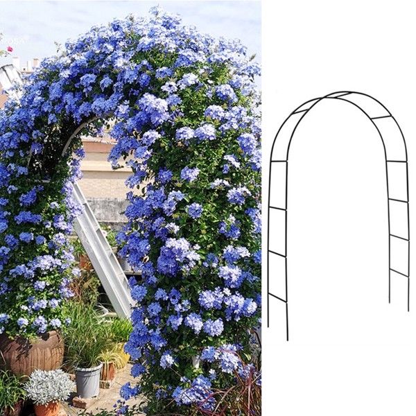 as picture Color
