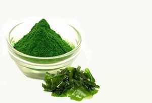 SUPERCOMIDA VEGANA CRUJA, MATERIA PRIMA |   POLVO DE MUSGO MARINO SILVESTRE DE ALTA CALIDAD PARA BEBIDAS - Product Image 4