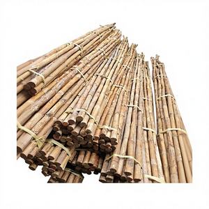 Vara de bambú natural de Tonkin de 60 cm, recta, seca, mini palo de bambú para soporte de plantas de jardín, materia prima para manualidades DIY. - Product Image 1