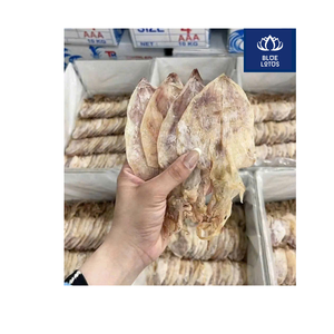 DISPONIBLE DÉS ORGANISATION : Calamar Séché de Haute Qualité, Écologique, Très Demandé, Incontournable pour Soupes et Apéritifs de Fruits de Mer – Vente en Gros Directe - Product Image 2