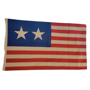 Drapeau rectangulaire personnalisé en polyester avec emblème harpe pour usage extérieur - Product Image 2