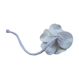 Fleurs Naturelles Toutes Occasions Décoration Fleur Sola Naturelle Brute - Product Image 4