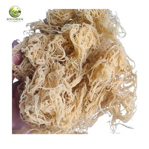 สาหร่ายทะเลไอริชธรรมชาติ สาหร่ายแห้งปรุงรส Eucheuma Cottonii Nori วัตถุดิบเกรดส่งออก บรรจุภัณฑ์ขนาดใหญ่ อายุการเก็บรักษา 12 เดือน - Product Image 6