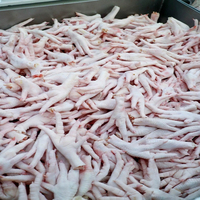 Pattes de poulet entières surgelées de qualité supérieure, nutritives, procédé de congélation BQF, durée de conservation de 24 mois - Fournisseur en gros pour les commandes en gros