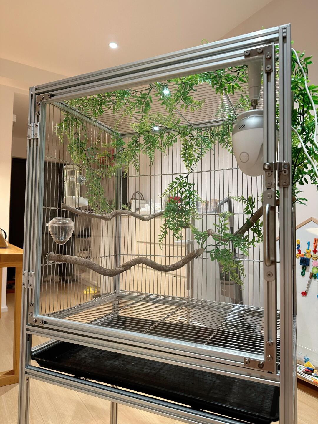 aviary bird cage