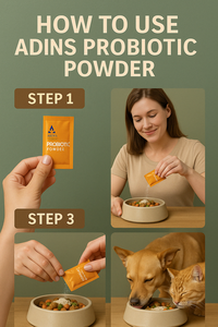 Suplemento alimenticio digestivo para mascotas en polvo probiótico para perros y gatos aprobado por la FDA OEM Gut Health Immune Sensium - Product Image 3