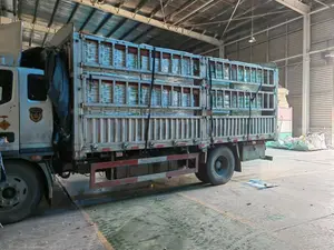 Nhanh chóng clumping/tự nhiên/Mạnh mẽ Kiểm soát mùi/nhà máy/Bán buôn/Sản xuất tại Trung Quốc/Sản phẩm vật nuôi/đậu phụ mèo xả rác