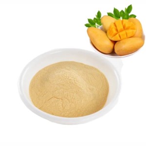 Polvo de mango deshidratado por pulverización de grado alimenticio, de alta calidad, 100% puro, al mejor precio, de la India. - Product Image 1