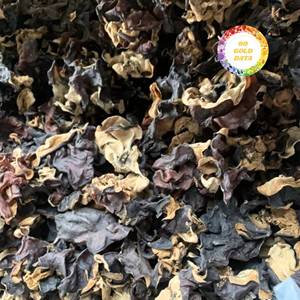 Champignons séchés du Vietnam, shiitake en vrac, sans tige, 20% de protéines, séchés naturellement à l'air, 1 kg/sac sous vide, prix d'usine avantageux - Product Image 5