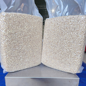 Noix de cajou entières SANTIGO en gros, emballage personnalisé, noix de cajou décortiquées - Product Image 1