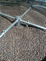 Café Arabica Bio Vert en Gros pour Machines à Expresso Commerciales – Robuste, Origine Hautes Terres du Vietnam