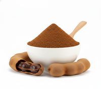 Poudre de Tamarin Biologique Séchée par Pulvérisation 80-100 Mesh Fine, Conditionnement en Vrac Sous Vide, Certifiée Halal Kosher FSSAI, Sans Sucre Ajouté, Faible Teneur en Humidité