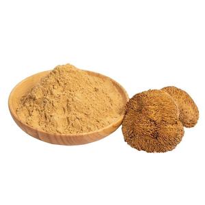 Polvo de hongo de Melena De León puro 100% cultivado en estado silvestre, venta al por mayor, polvo de hongo de melena de León de grado alimenticio al mejor precio de la India - Product Image 1