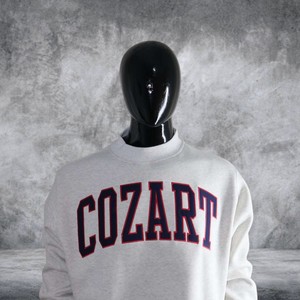 เสื้อสเวตเชิ้ตคอเต่าโอเวอร์ไซส์สำหรับผู้หญิง Cozart ผลิตจากผ้าฝ้ายหนานุ่ม สไตล์สตรีทแวร์ รับผลิตแบบ OEM สำหรับแบรนด์ส่วนตัว - Product Image 2