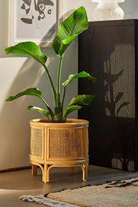 Wholesale Handicraft <b>Round</b> Rattan Planter Bohemian <b>Wicker</b> Plant Pot Elegant Woven Flower Pot for Indoor Garden Home Hotel - Product Image 3