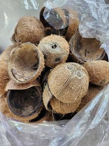 Coquille de noix de coco naturelle du Vietnam pour charbon de bois et usage industriel, marque Vdelta, origine Ben Tre, longue durée de conservation - Product Image 1