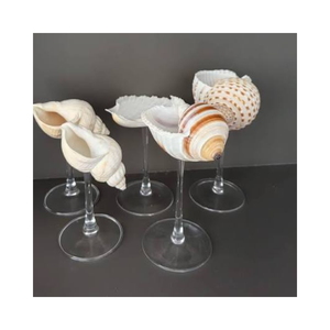 Natural Seashell Handmade Wine Glass Ocean Inspired Decorative Drinking Cup for Home Hotel Restaurant - Product Image 5