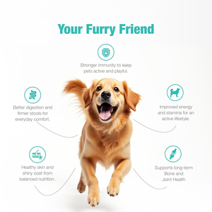 Alimento para Perros Adultos Adins International, Fórmula de Pollo, Ingredientes Limitados, Salud Digestiva, Apoyo Inmunológico, Para Todas las Razas, Gránulos - Product Image 3