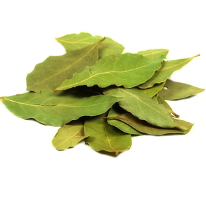 Aceite Esencial de Baya |   Proveedor al por Mayor de Aceites Esenciales Premium, Fabricante de Marca Privada OEM - Product Image 5