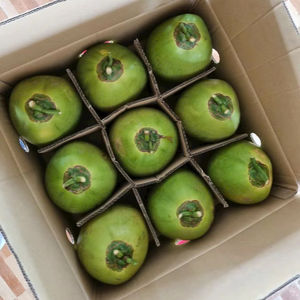 Coco verde joven fresco, producto de Vietnam para tiendas minoristas y mercados de alimentos especiales que buscan ingredientes únicos para bebidas. - Product Image 1