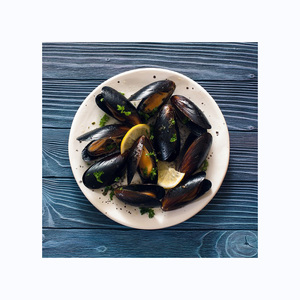 Bulk Quality Frozen Shellfish Mussels - Product Image 1