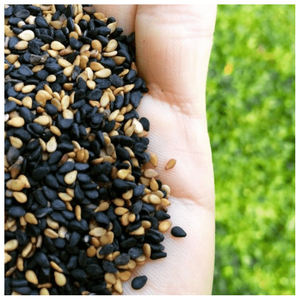 ซัพพลายเออร์งาขาวเมล็ดงาขาวที่ดีที่สุด - Product Image 3