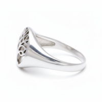 Bague Chevalière Classique Arbre de Vie en Argent Sterling 925, Cadeau Idéal pour Mariage, Fiançailles, Anniversaire, Bijou de Fête pour Femme et Homme