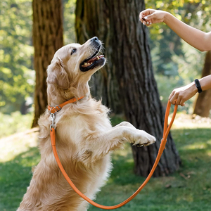 2026 Top Selling High Quality Wholesale Luxury Adjustable And Secure Buckle Leather <b>Dog</b> <b>Leash</b> - Product Image 6