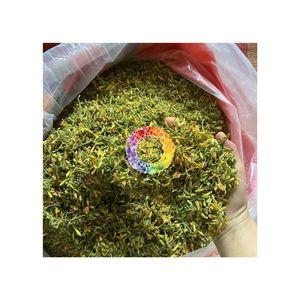 Fleur de papaye séchée entière naturelle, herbes et tiges pour tisane, export maritime mondial depuis le Vietnam, livraison rapide - Product Image 1