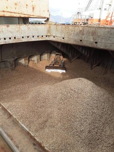 Pellets de Madera a Granel – Combustible de Biomasa Natural, Alto Valor Calorífico, Bajo Contenido de Cenizas, Uso Industrial para Calefacción - Product Image 5