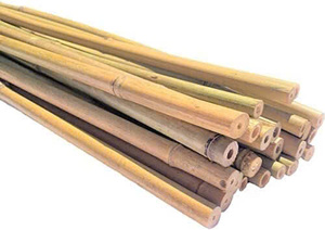 Bâtons de bambou naturel en gros, solides et résistants, pour l'agriculture et l'aménagement paysager - Product Image 2