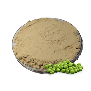 Isolat de protéines de pois en vrac 85% soluble, poudre de qualité alimentaire à base de plantes pour complément nutritionnel oral - Product Image 2