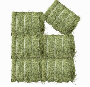 Foin de timothée pour chevaux et animaux |   Séché au soleil |   Durée de conservation stable |   Boîtes de vente au détail ou balles compressées |   De l'Afrique du Sud - Product Image 1