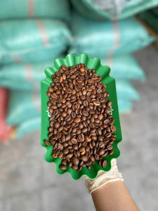 Café en grains torréfiés de haute qualité à prix compétitif, torréfaction légère, pour le café filtre, le pour-over et le V60, 100% Robusta du Vietnam - Product Image 6