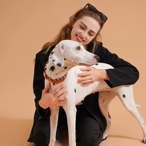 Suministros para mascotas, collar para perros hecho a mano, diseño colorido a la moda, anillo para el cuello del gato para caminar al aire libre, collar para perros, accesorios para mascotas - Product Image 4
