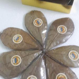 ใบแคทัปป้าอินเดีย ขนาด 11 ซม. ถึง 18 ซม. (4 ถึง 7 นิ้ว) หมายเลข 15 อุปกรณ์เสริมสำหรับสัตว์เลี้ยงในตู้ปลาคุณภาพพรีเมียม - Product Image 6