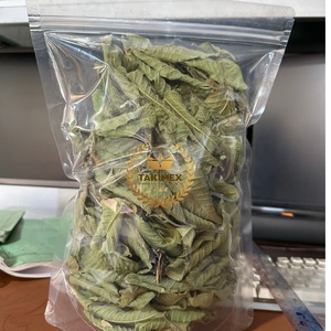 ชาสมุนไพรทำจากใบฝรั่งออร์แกนิก100% ใบชาสมุนไพรแบบหลวมจากเวียดนามราคาไม่แพงในตลาด - Product Image 5