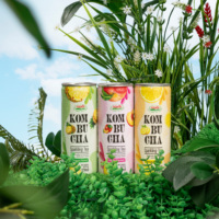 Produit phare NAWON OEM Boisson au thé Kombucha avec saveur de jus d'ananas, de citron et de pêche 250ML en canette Haute qualité Sans sucre ajouté ISO BRC