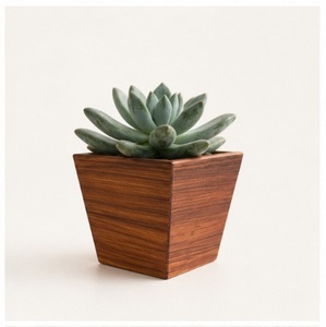 Modern Square Wooden Succulent <b>Planter</b> <b>Box</b> Natural Wood Flower Pot for Desktop Home Office Decor Indoor Cactus Garden Ornament - Product Image 3