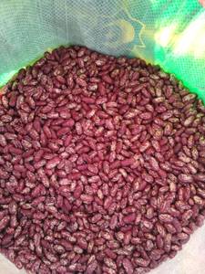 Frijoles Rojos Secos de la Marca CREKS del Noreste de China, a Granel, 250 kg, Premium para Papillas y Comidas Integrales, Nueva Cosecha, 2 Años de Duración - Product Image 6